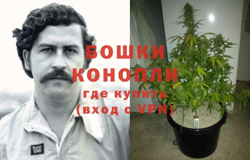 Бошки марихуана Ganja  купить наркоту  Уржум 